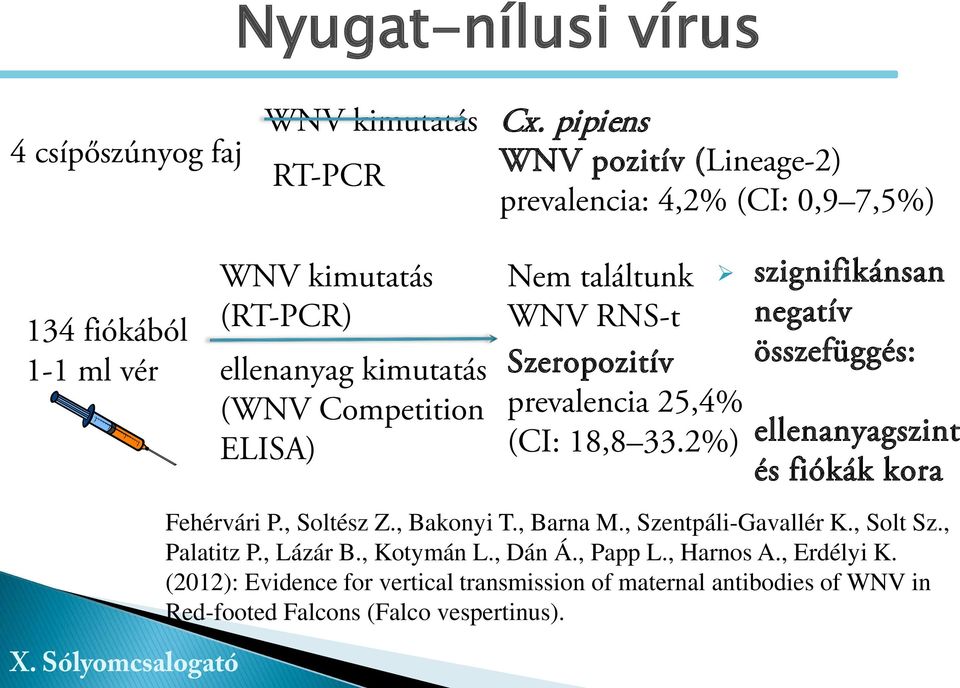 Nem találtunk WNV RNS-t Szeropozitív prevalencia 25,4% (CI: 18,8 33.2%) szignifikánsan negatív összefüggés: ellenanyagszint és fiókák kora Fehérvári P.