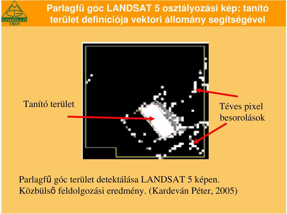 Téves pixel besorolások Parlagfű góc terület detektálása