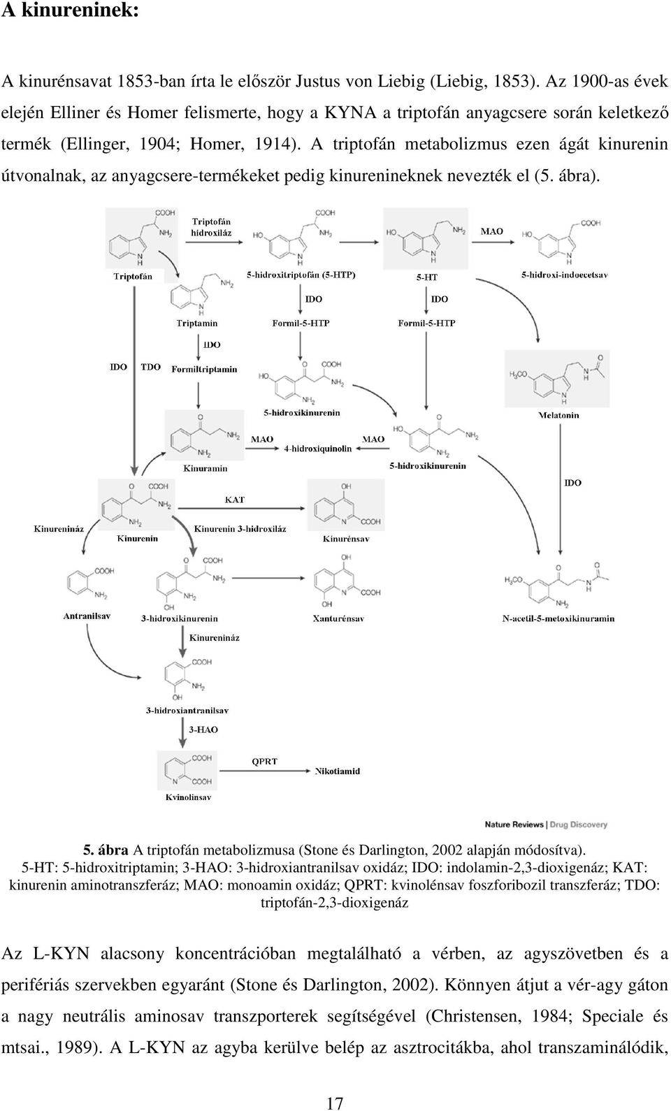 A triptofán metabolizmus ezen ágát kinurenin útvonalnak, az anyagcsere-termékeket pedig kinurenineknek nevezték el (5. ábra). 5.