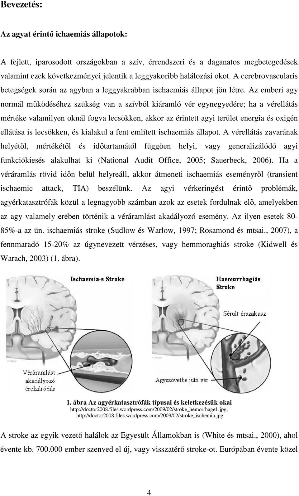 Az emberi agy normál mőködéséhez szükség van a szívbıl kiáramló vér egynegyedére; ha a vérellátás mértéke valamilyen oknál fogva lecsökken, akkor az érintett agyi terület energia és oxigén ellátása