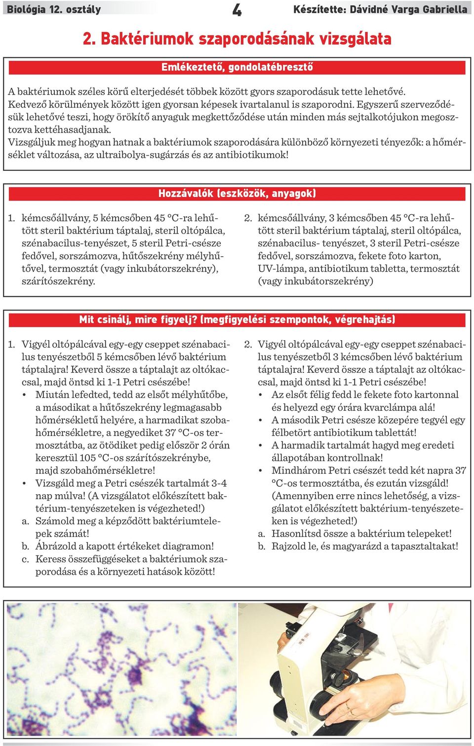 Kedvező körülmények között igen gyorsan képesek ivartalanul is szaporodni.