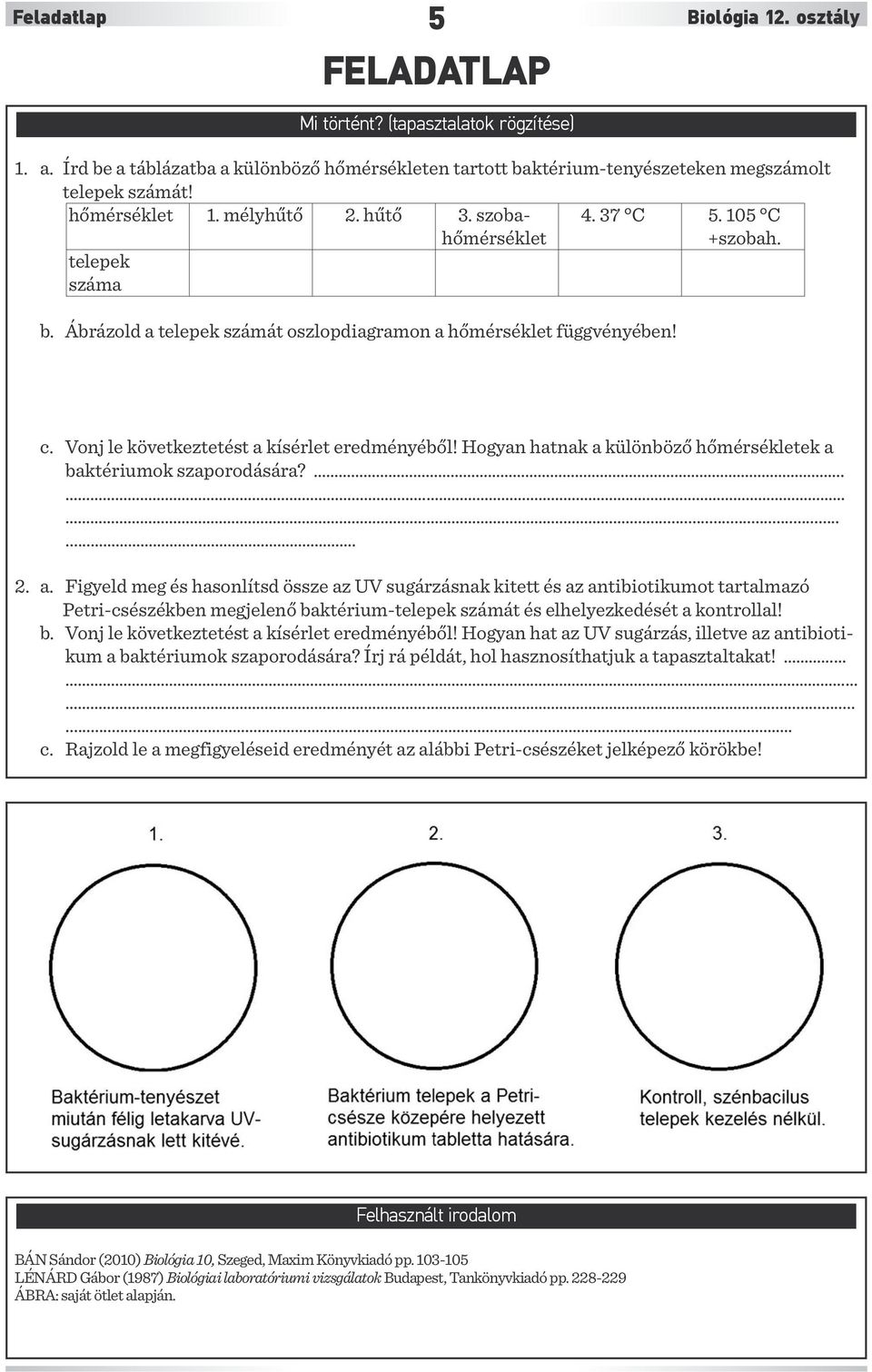 Vonj le következtetést a kísérlet eredményéből! Hogyan hatnak a különböző hőmérsékletek a baktériumok szaporodására?........... 2. a. Figyeld meg és hasonlítsd össze az UV sugárzásnak kitett és az antibiotikumot tartalmazó Petri-csészékben megjelenő baktérium-telepek számát és elhelyezkedését a kontrollal!