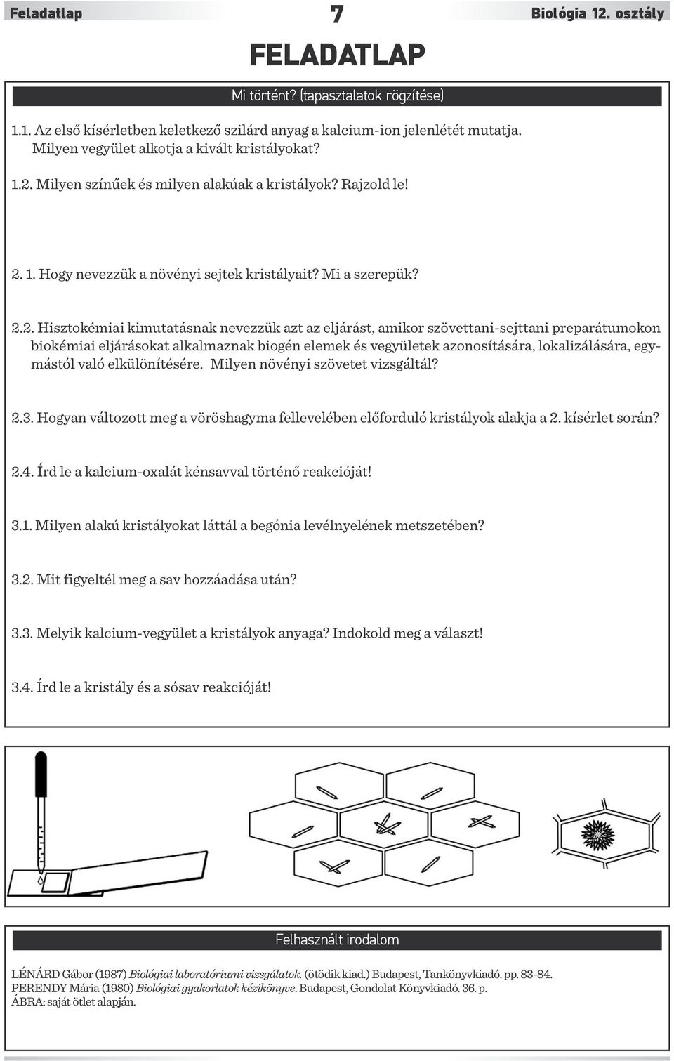 Milyen színűek és milyen alakúak a kristályok? Rajzold le! 2.