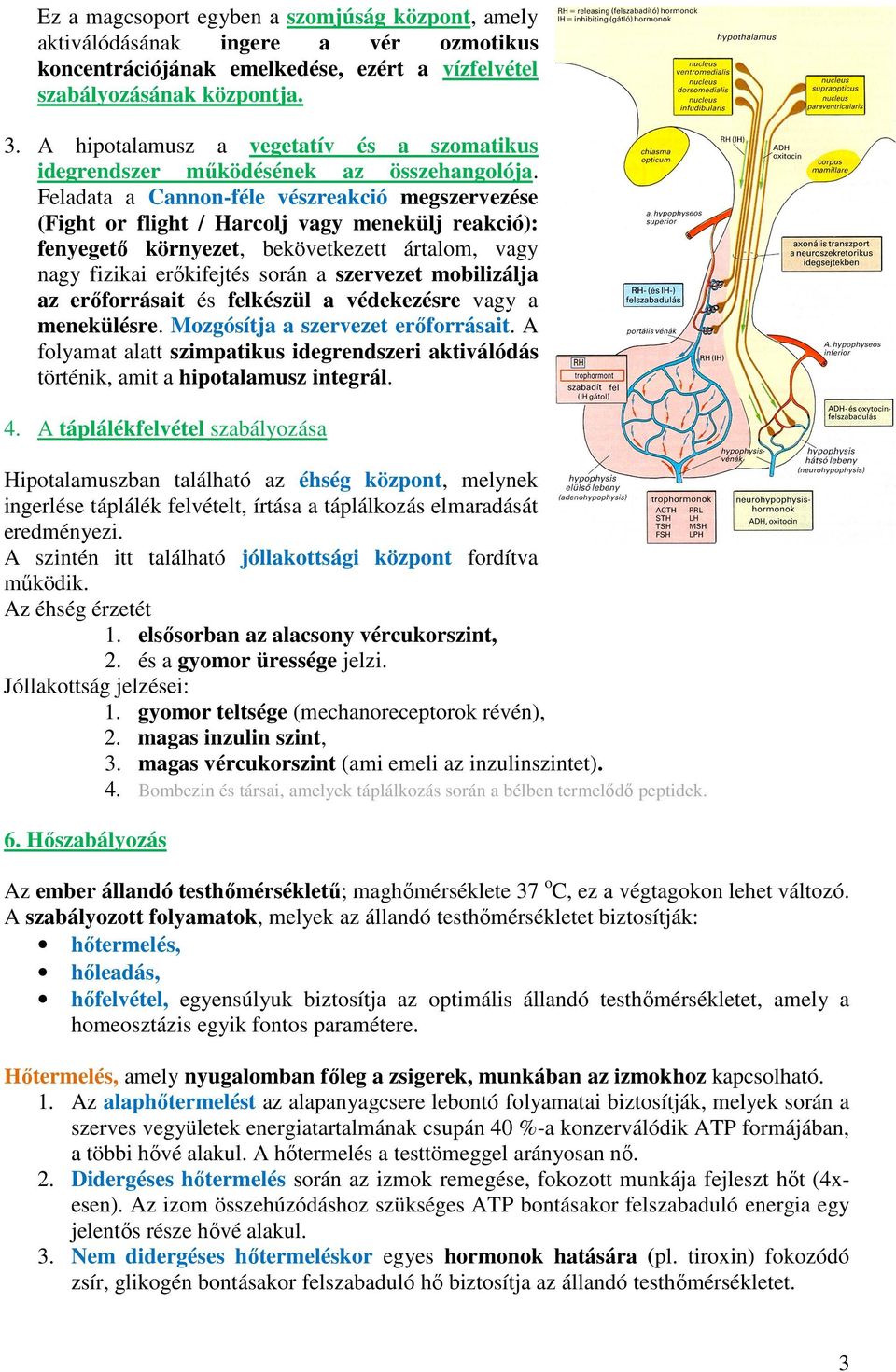 Feladata a Cannn-féle vészreakció megszervezése (Fight r flight / Harclj vagy menekülj reakció): fenyegető környezet, bekövetkezett ártalm, vagy nagy fizikai erőkifejtés srán a szervezet mbilizálja