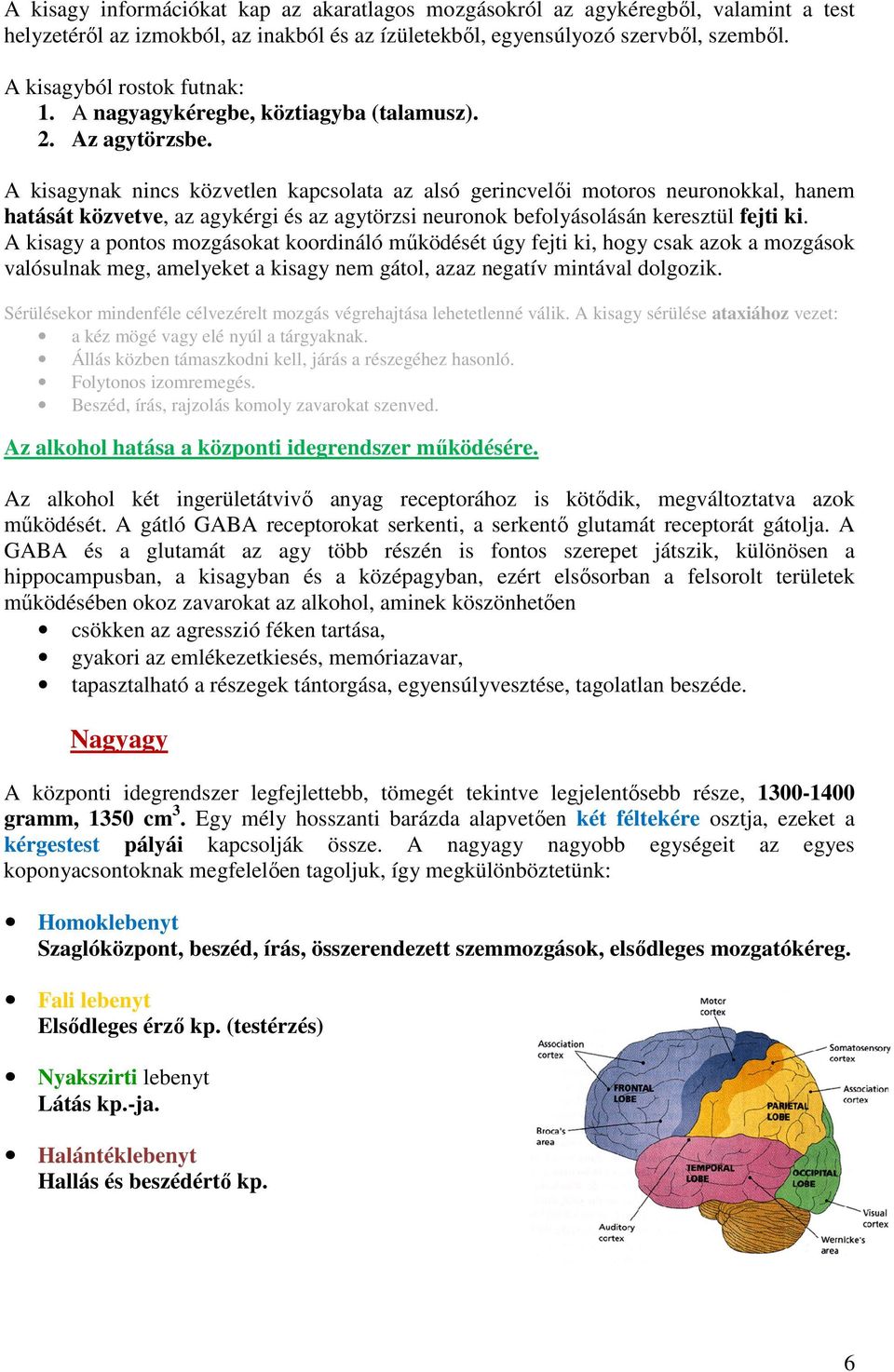 A kisagynak nincs közvetlen kapcslata az alsó gerincvelői mtrs neurnkkal, hanem hatását közvetve, az agykérgi és az agytörzsi neurnk beflyáslásán keresztül fejti ki.