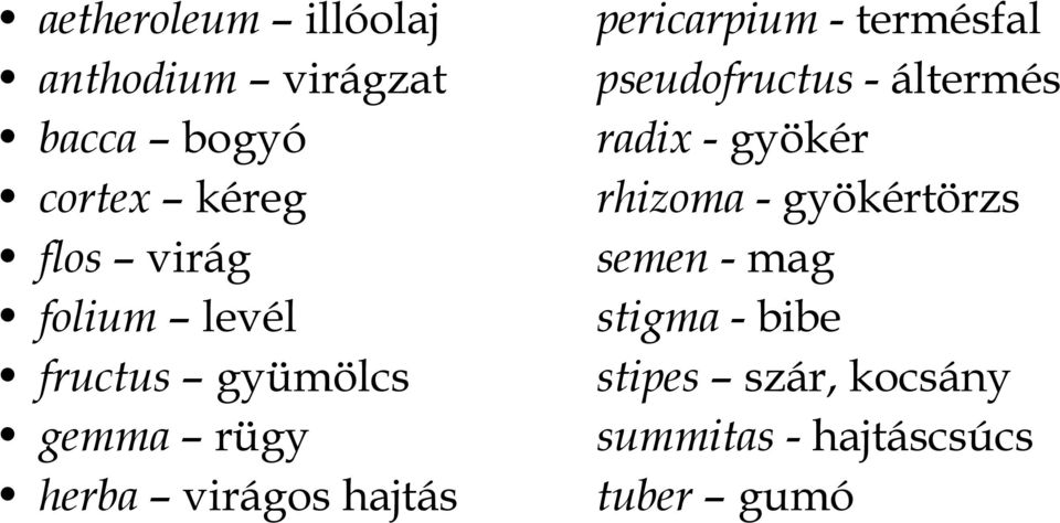 termésfal pseudofructus - áltermés radix - gyökér rhizoma - gyökértörzs