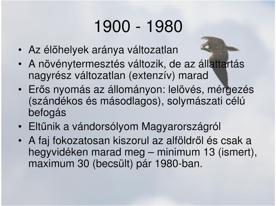 másodlagos), solymászati célú befogás Eltűnik a vándorsólyom Magyarországról A faj fokozatosan