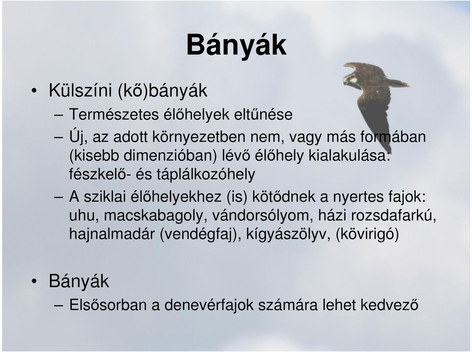 élőhelyekhez (is) kötődnek a nyertes fajok: uhu, macskabagoly, vándorsólyom, házi rozsdafarkú,