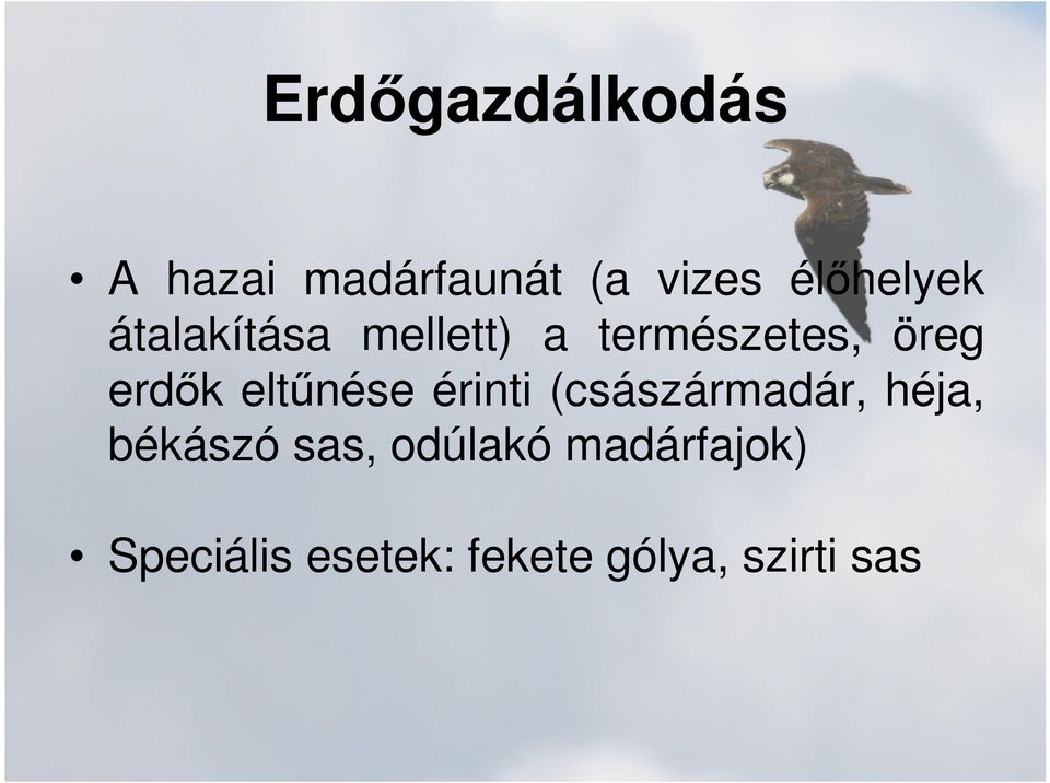 erdők eltűnése érinti (császármadár, héja, békászó