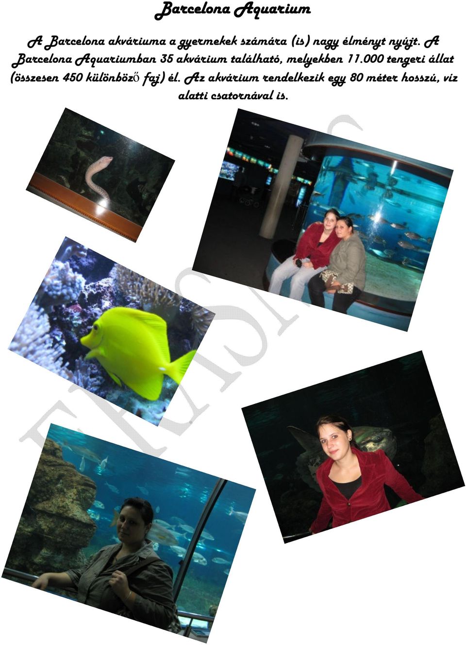 A Barcelona Aquariumban 35 akvárium található, melyekben 11.