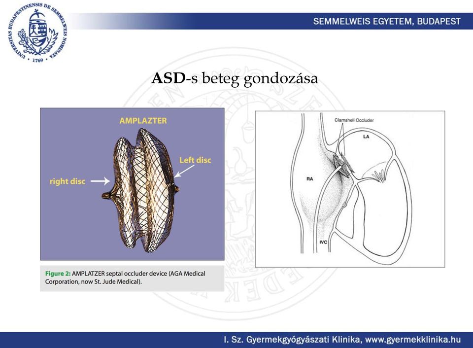 gondozása