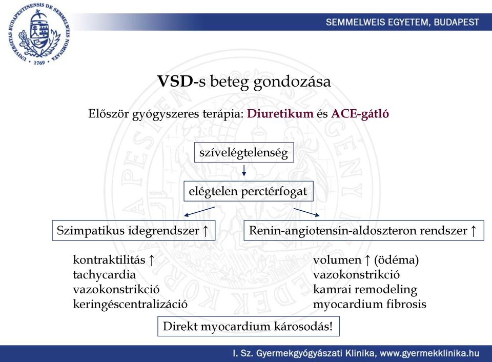 Renin-angiotensin-aldoszteron rendszer kontraktilitás tachycardia vazokonstrikció