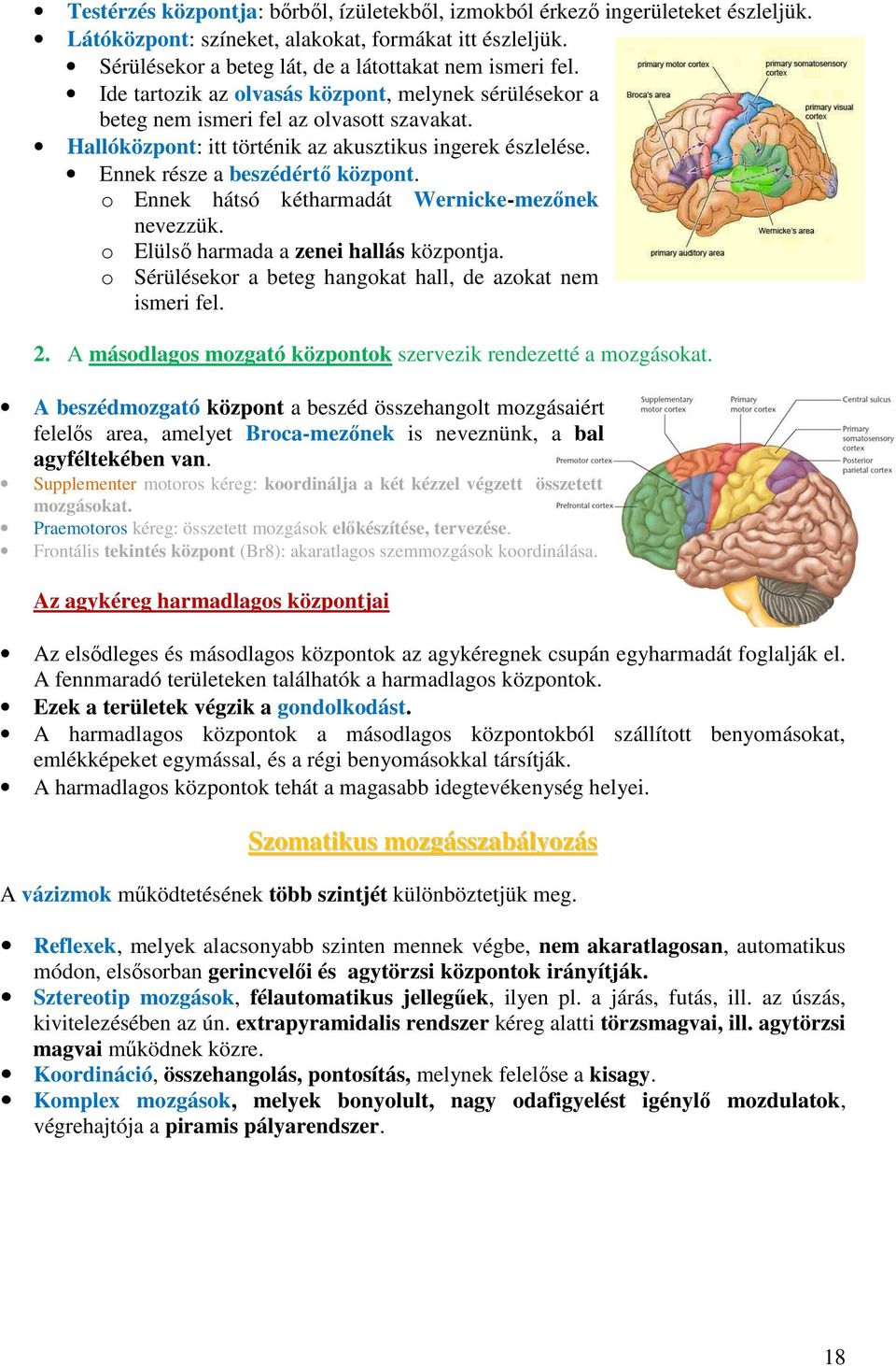 o Ennek hátsó kétharmadát Wernicke-mezőnek nevezzük. o Elülső harmada a zenei hallás központja. o Sérülésekor a beteg hangokat hall, de azokat nem ismeri fel. 2.