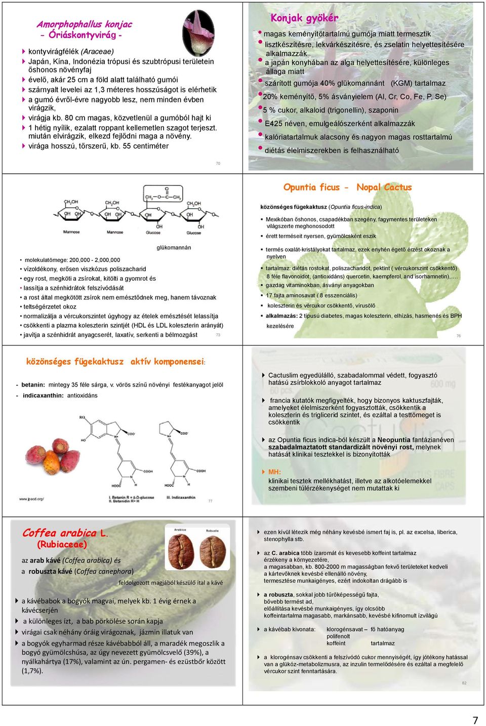 E425 néven, emulgeálószerként alkalmazzák kalóriatartalmuk alacsony és nagyon magas rosttartalmú diétás élelmiszerekben is felhasználható ` kontyvirágfélék (Araceae) ` Japán, Kína, Indonézia trópusi