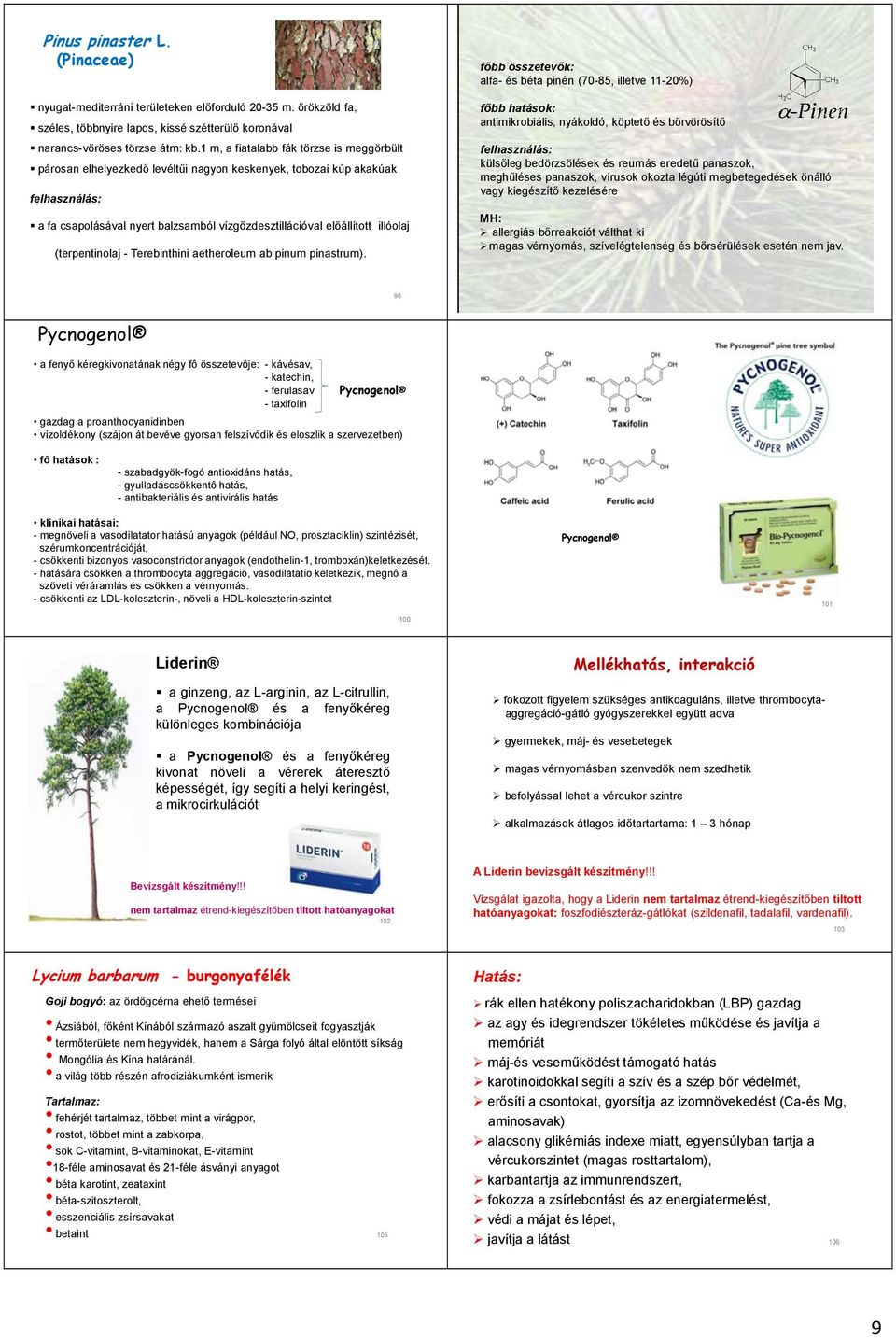 illóolaj (terpentinolaj - Terebinthini aetheroleum ab pinum pinastrum).