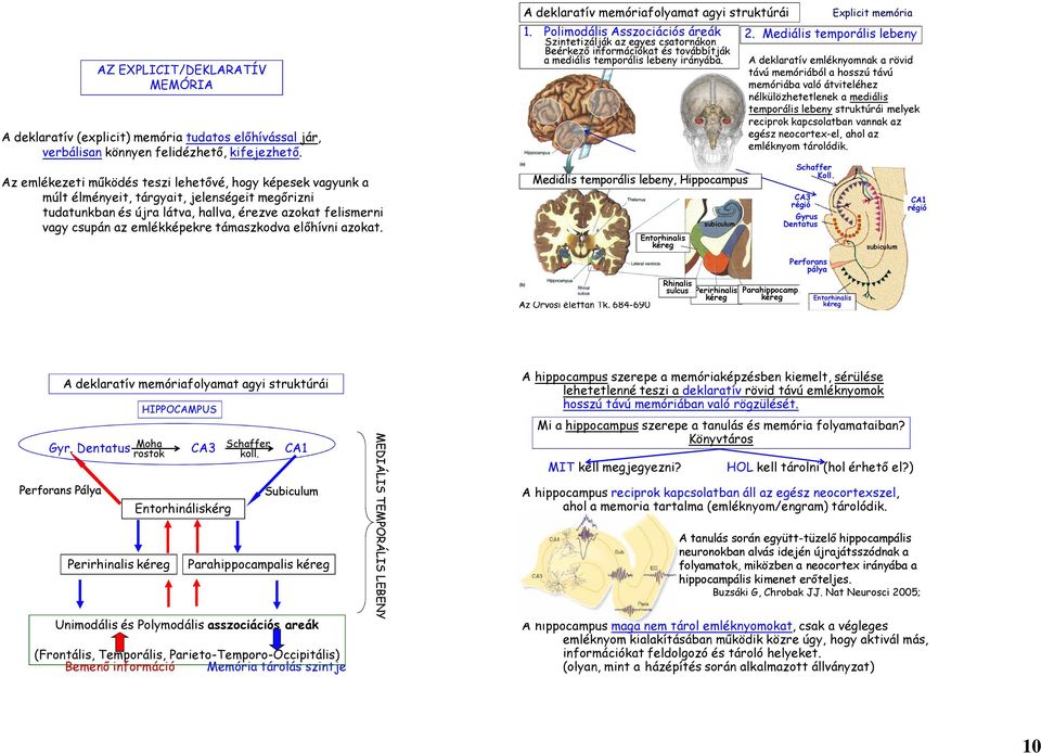 támaszkodva előhívni azokat. A deklaratív memóriafolyamat agyi struktúrái 1.