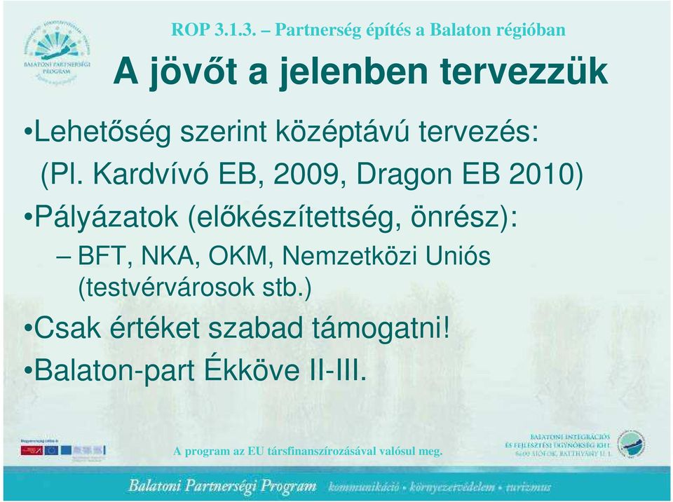 Kardvívó EB, 2009, Dragon EB 2010) Pályázatok (elıkészítettség,