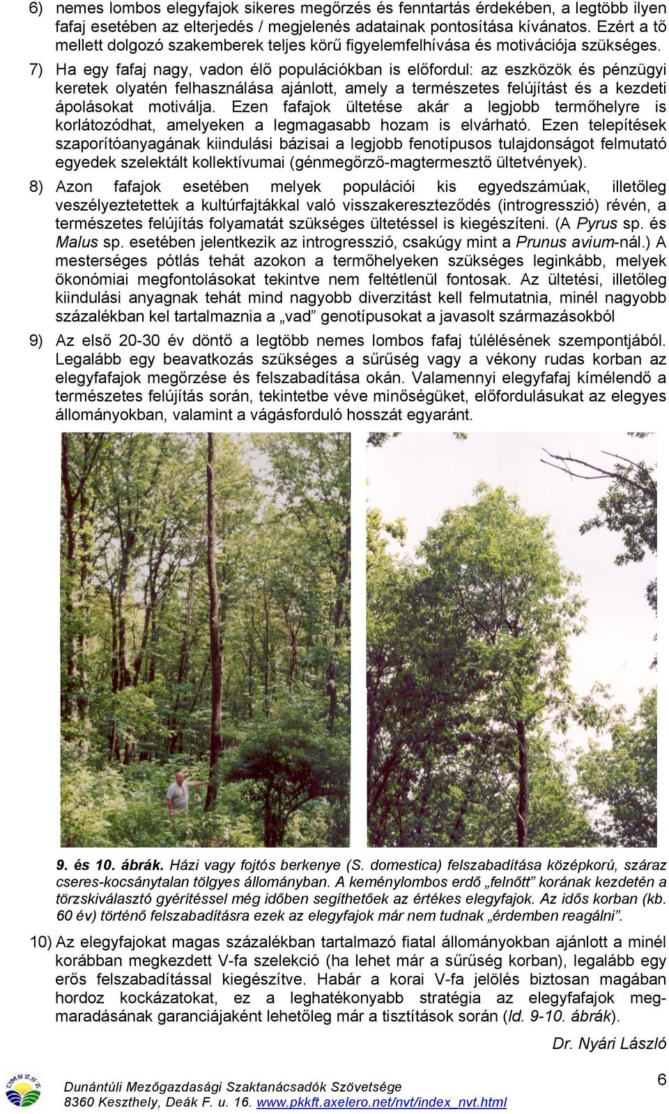 7) Ha egy fafaj nagy, vadon élő populációkban is előfordul: az eszközök és pénzügyi keretek olyatén felhasználása ajánlott, amely a természetes felújítást és a kezdeti ápolásokat motiválja.