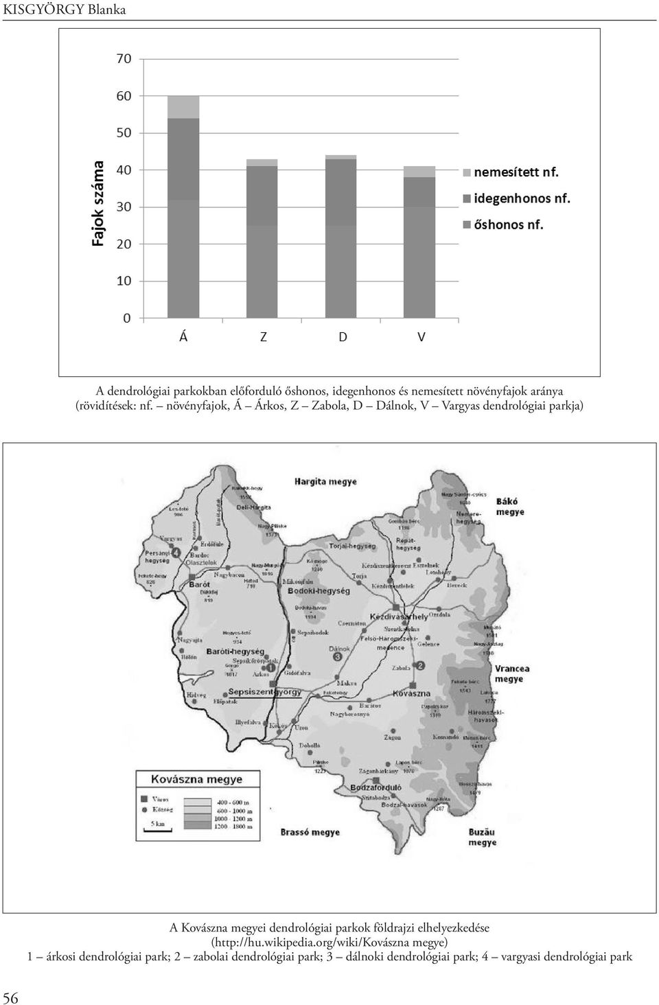 növényfajok, Á Árkos, Z Zabola, D Dálnok, V Vargyas dendrológiai parkja) A Kovászna megyei dendrológiai