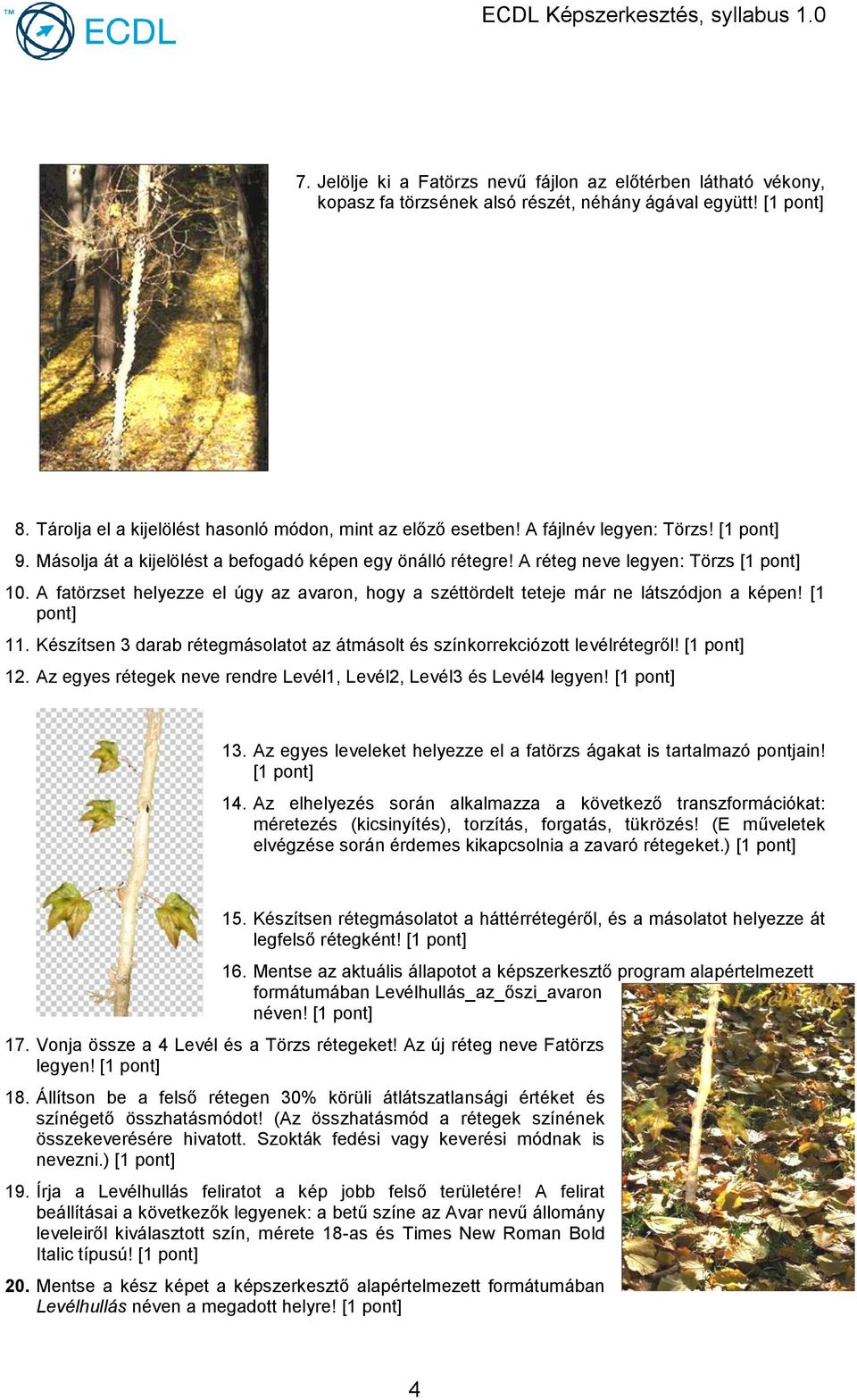 A fatörzset helyezze el úgy az avaron, hogy a széttördelt teteje már ne látszódjon a képen! [1 11. Készítsen 3 darab rétegmásolatot az átmásolt és színkorrekciózott levélrétegről! [1 12.