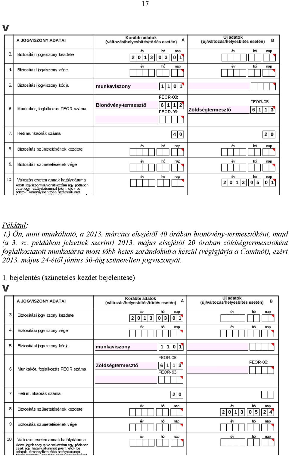 példában jelzettek szerint) 2013.