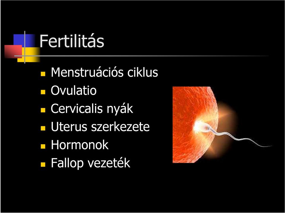 Cervicalis nyák Uterus