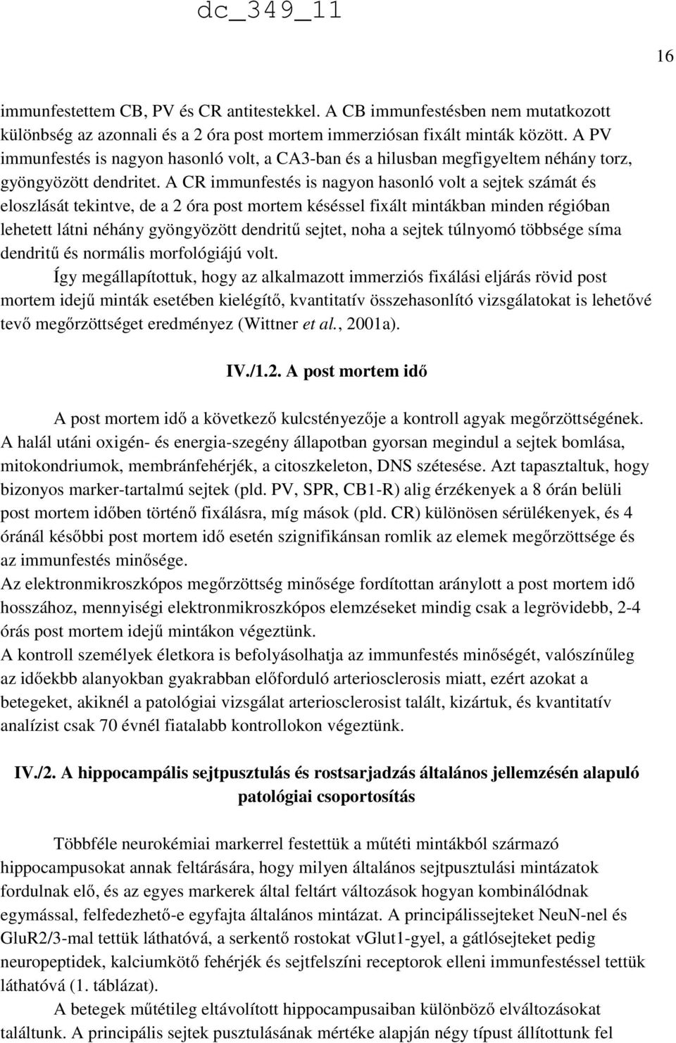 A CR immunfestés is nagyon hasonló volt a sejtek számát és eloszlását tekintve, de a 2 óra post mortem késéssel fixált mintákban minden régióban lehetett látni néhány gyöngyözött dendritű sejtet,