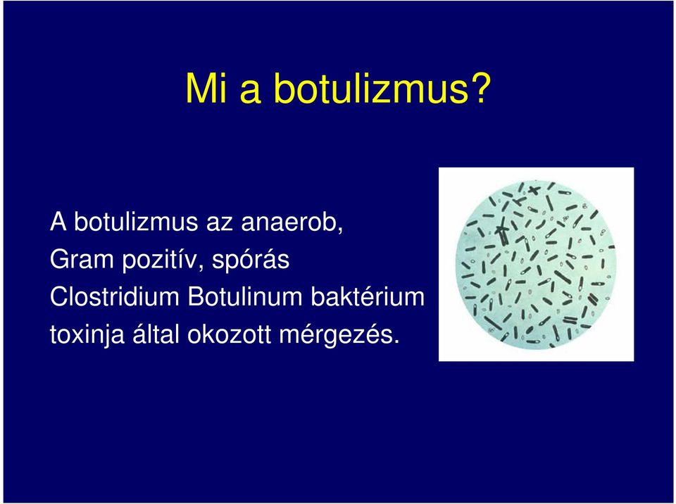 pozitív, spórás Clostridium