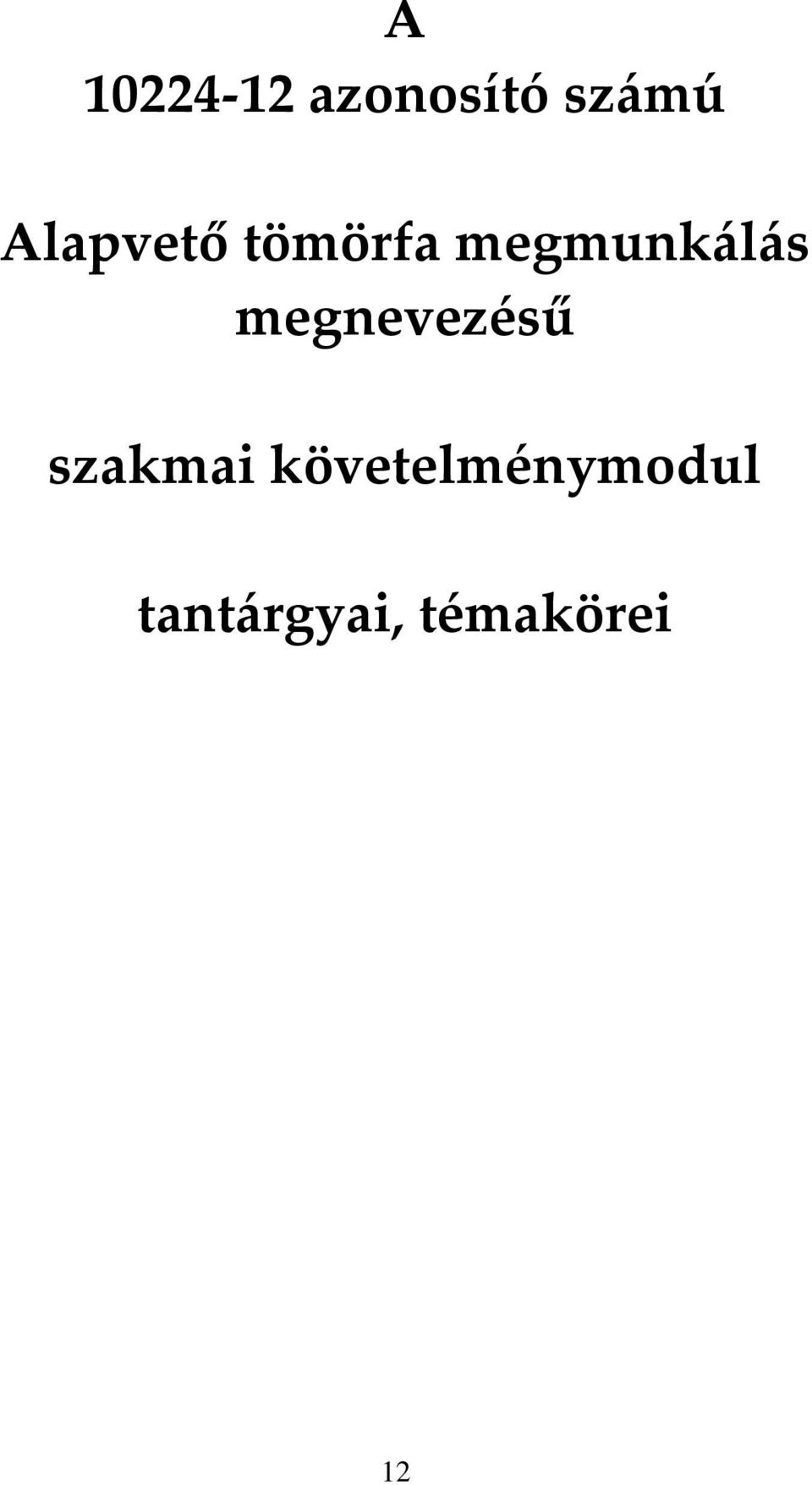 megnevezésű szakmai
