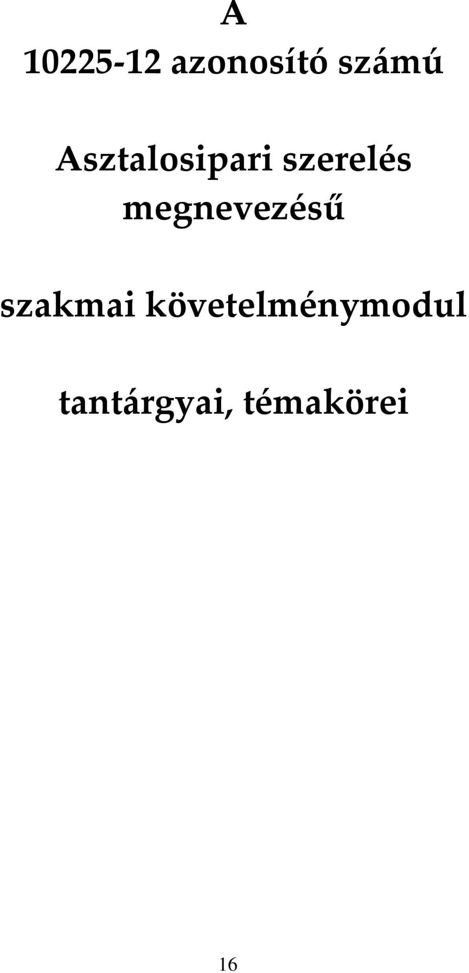 megnevezésű szakmai