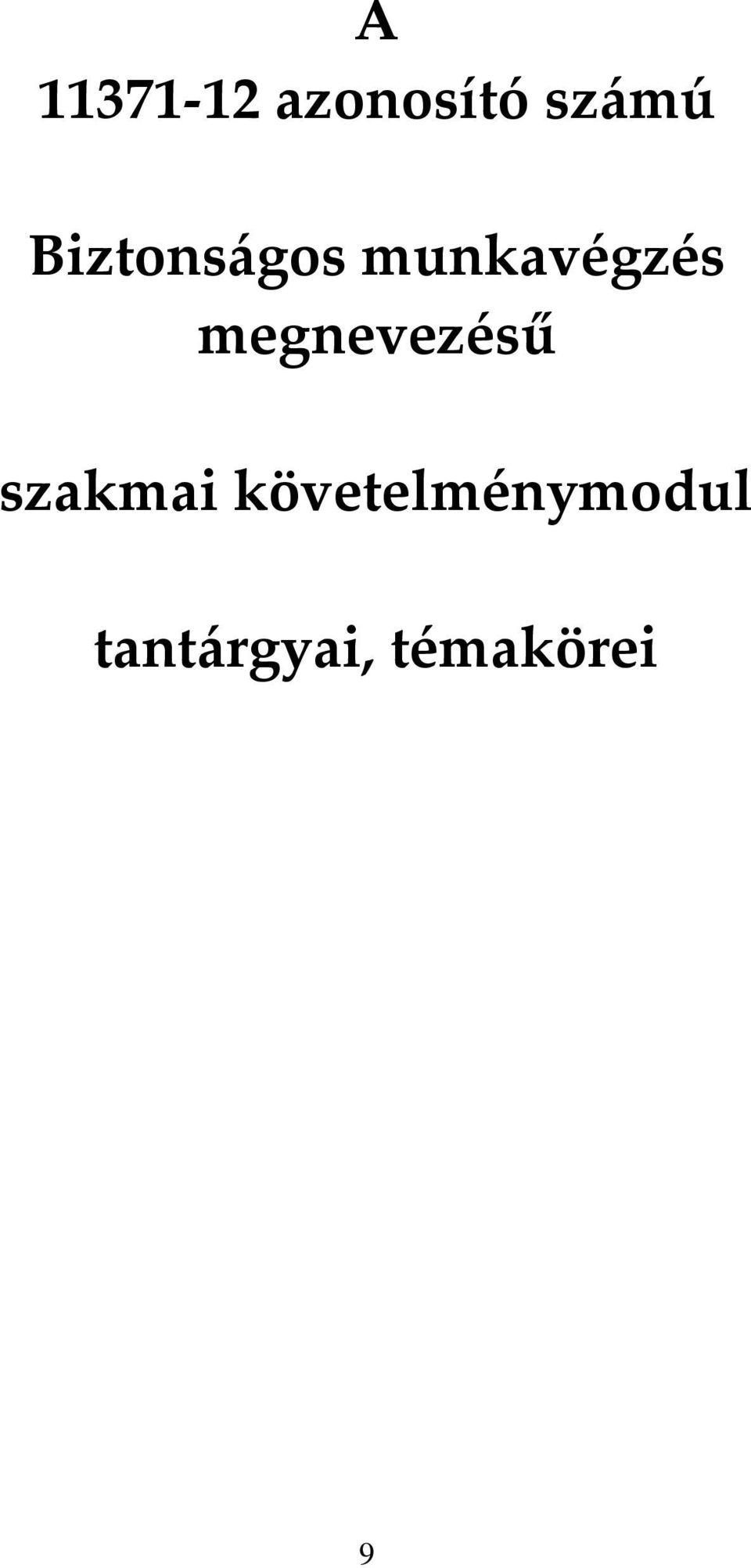 megnevezésű szakmai
