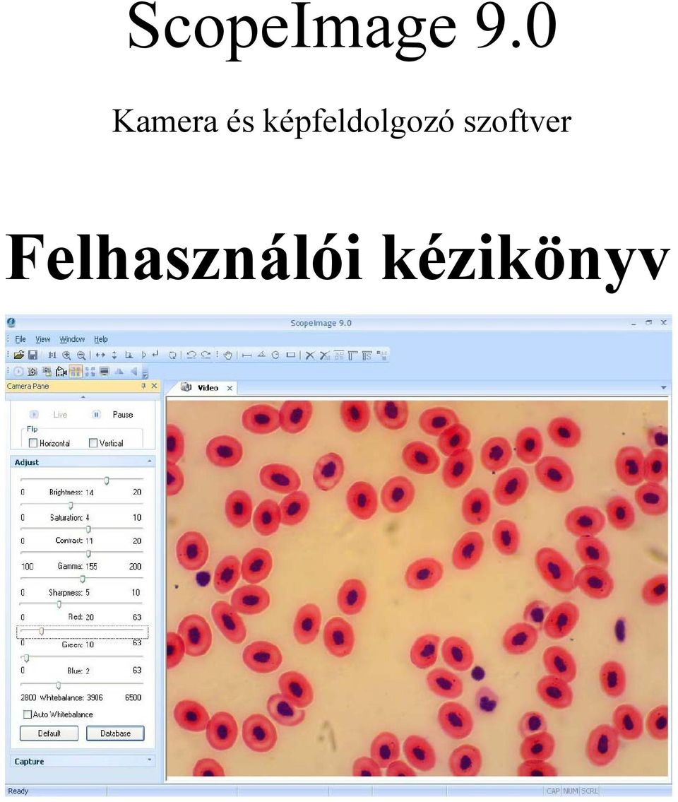 képfeldolgozó