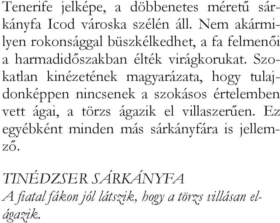 Szokatlan kinézetének magyarázata, hogy tulajdonképpen nincsenek a szokásos értelemben vett ágai, a törzs