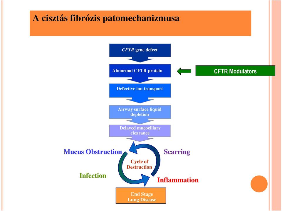 Transport 2 Airway surface liquid depletion Delayed mucociliary clearance Mucus