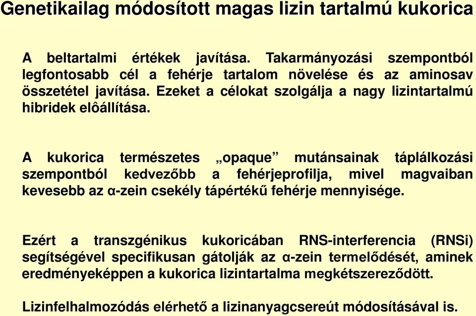 Ezeket a célokat szolgálja a nagy lizintartalmú hibridek elôállítása.