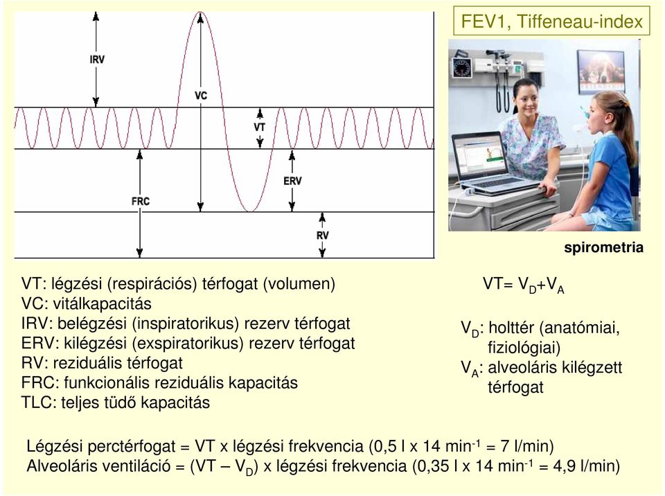 teljes tüdı kapacitás VT= V D +V A V D : holttér (anatómiai, fiziológiai) V A : alveoláris kilégzett térfogat Légzési perctérfogat =