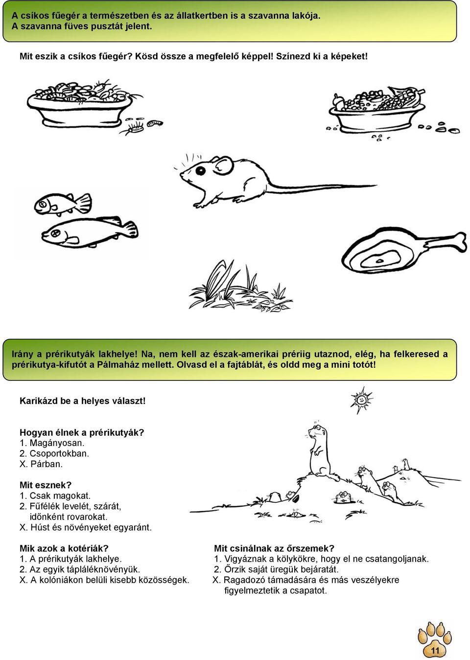 Karikázd be a helyes választ! Hogyan élnek a prérikutyák? 1. Magányosan. 2. Csoportokban. X. Párban. Mit esznek? 1. Csak magokat. 2. Fűfélék levelét, szárát, időnként rovarokat. X. Húst és növényeket egyaránt.