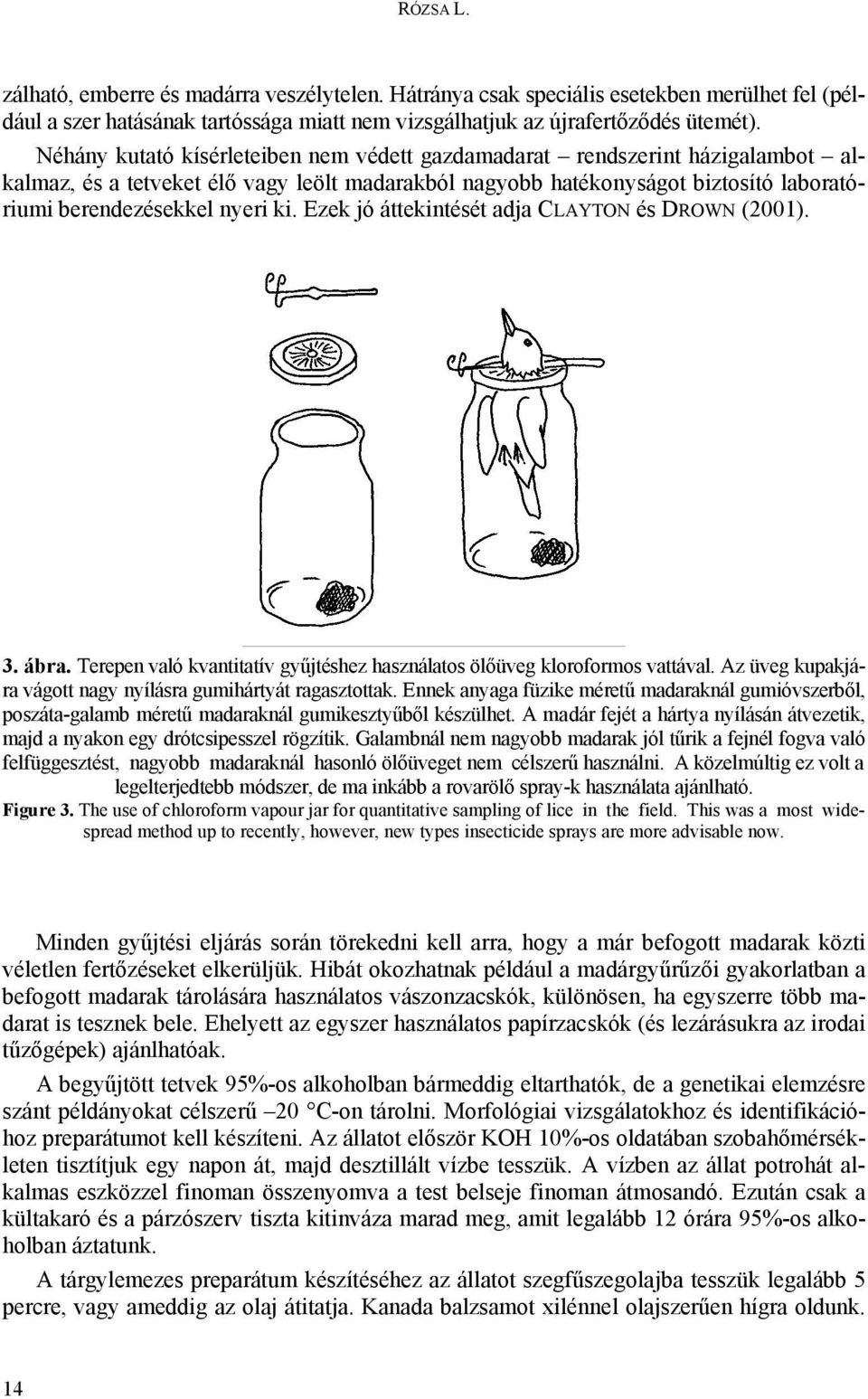 Ezek jó áttekintését adja CLAYTON és DROWN (2001). 3. ábra. Terepen való kvantitatív gyűjtéshez használatos ölőüveg kloroformos vattával.