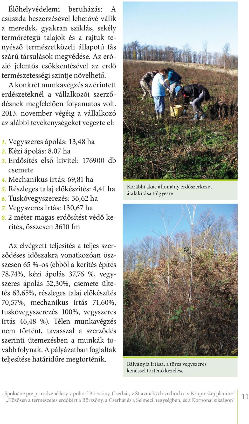 november végéig a vállalkozó az alábbi tevékenységeket végezte el: 1. Vegyszeres ápolás: 13,48 ha 2. Kézi ápolás: 8,07 ha 3. Erdősítés első kivitel: 176900 db csemete 4. Mechanikus irtás: 69,81 ha 5.