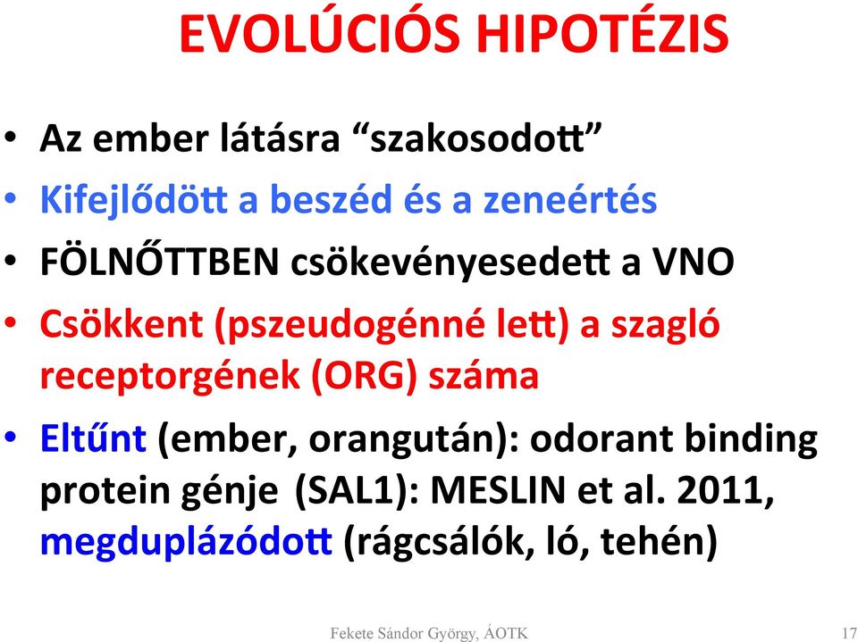 receptorgének (ORG) száma Eltűnt (ember, orangután): odorant binding protein génje