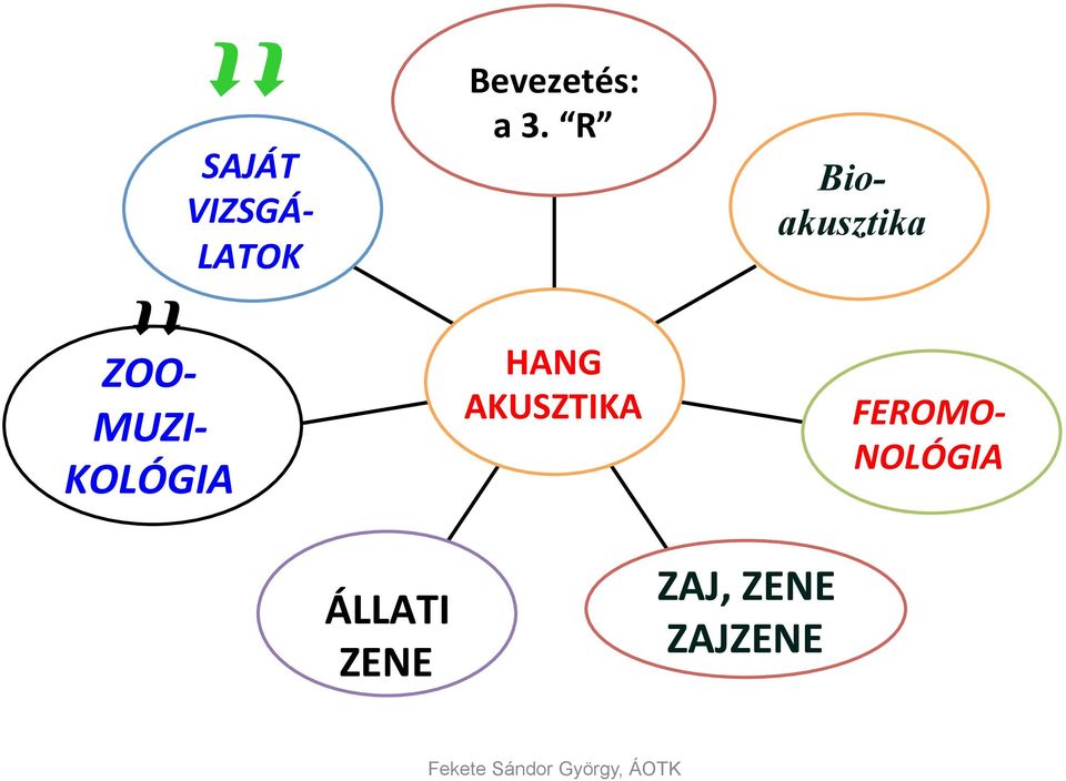 R HANG AKUSZTIKA ZAJ, ZENE ZAJZENE