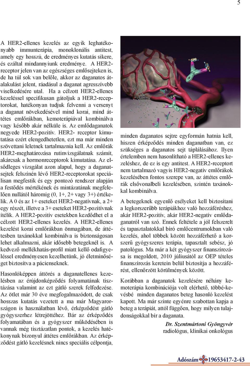 Ha a célzott HER2-ellenes kezeléssel specifikusan gátoljuk a HER2-receptorokat, hatékonyan tudjuk felvenni a versenyt a daganat növekedésével mind korai, mind áttétes emlőrákban, kemoterápiával