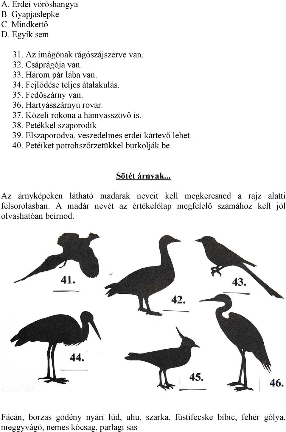 Elszaporodva, veszedelmes erdei kártevő lehet. 40. Petéiket potrohszőrzetükkel burkolják be. Sötét árnyak.