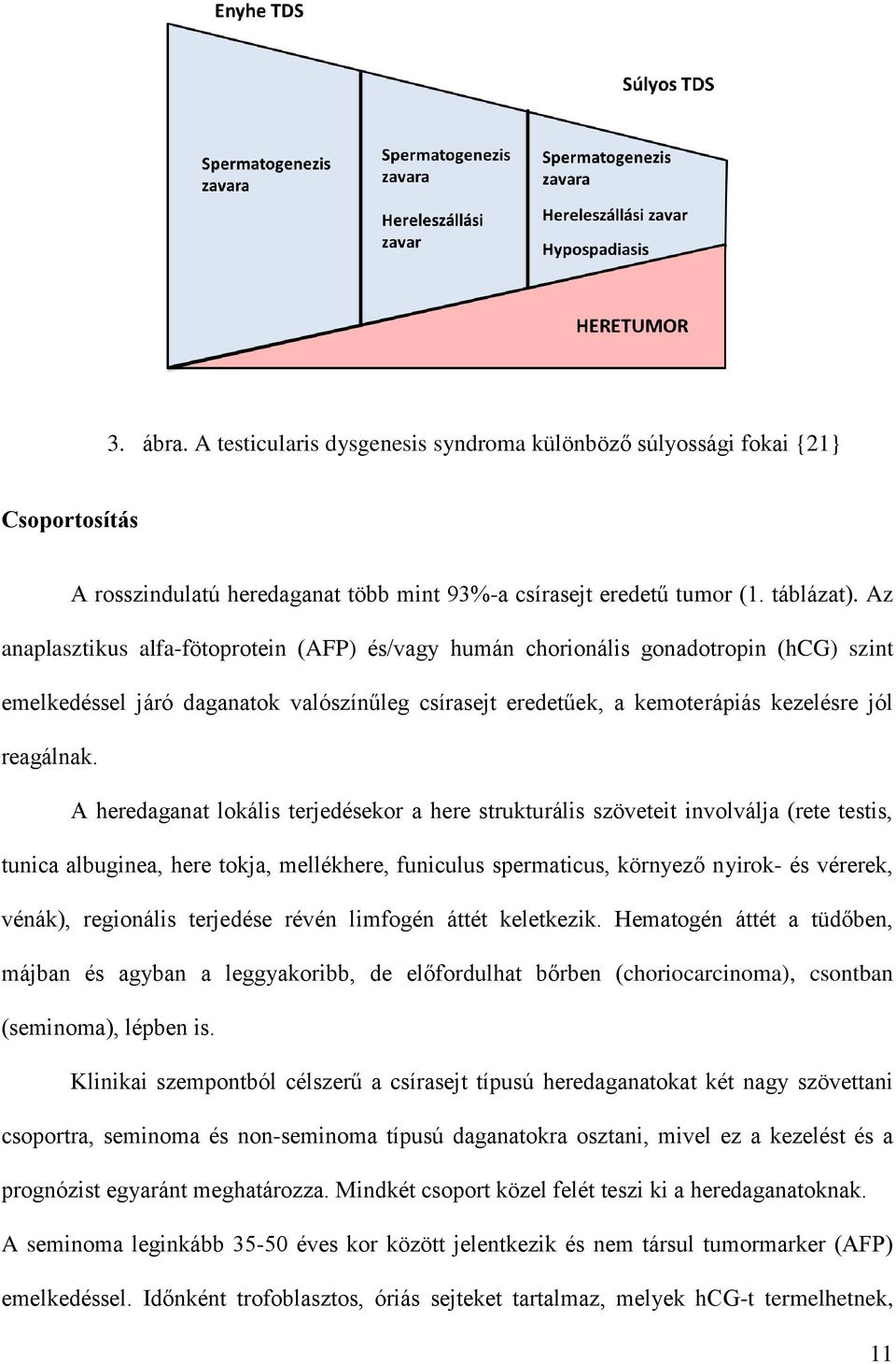 A heredaganat lokális terjedésekor a here strukturális szöveteit involválja (rete testis, tunica albuginea, here tokja, mellékhere, funiculus spermaticus, környező nyirok- és vérerek, vénák),