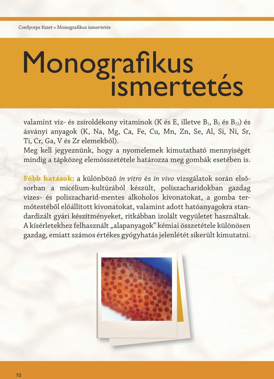 Főbb hatások: a különböző in vitro és in vivo vizsgálatok során elsősorban a micélium-kultúrából készült, poliszacharidokban gazdag vizes- és poliszacharid-mentes alkoholos kivonatokat, a gomba