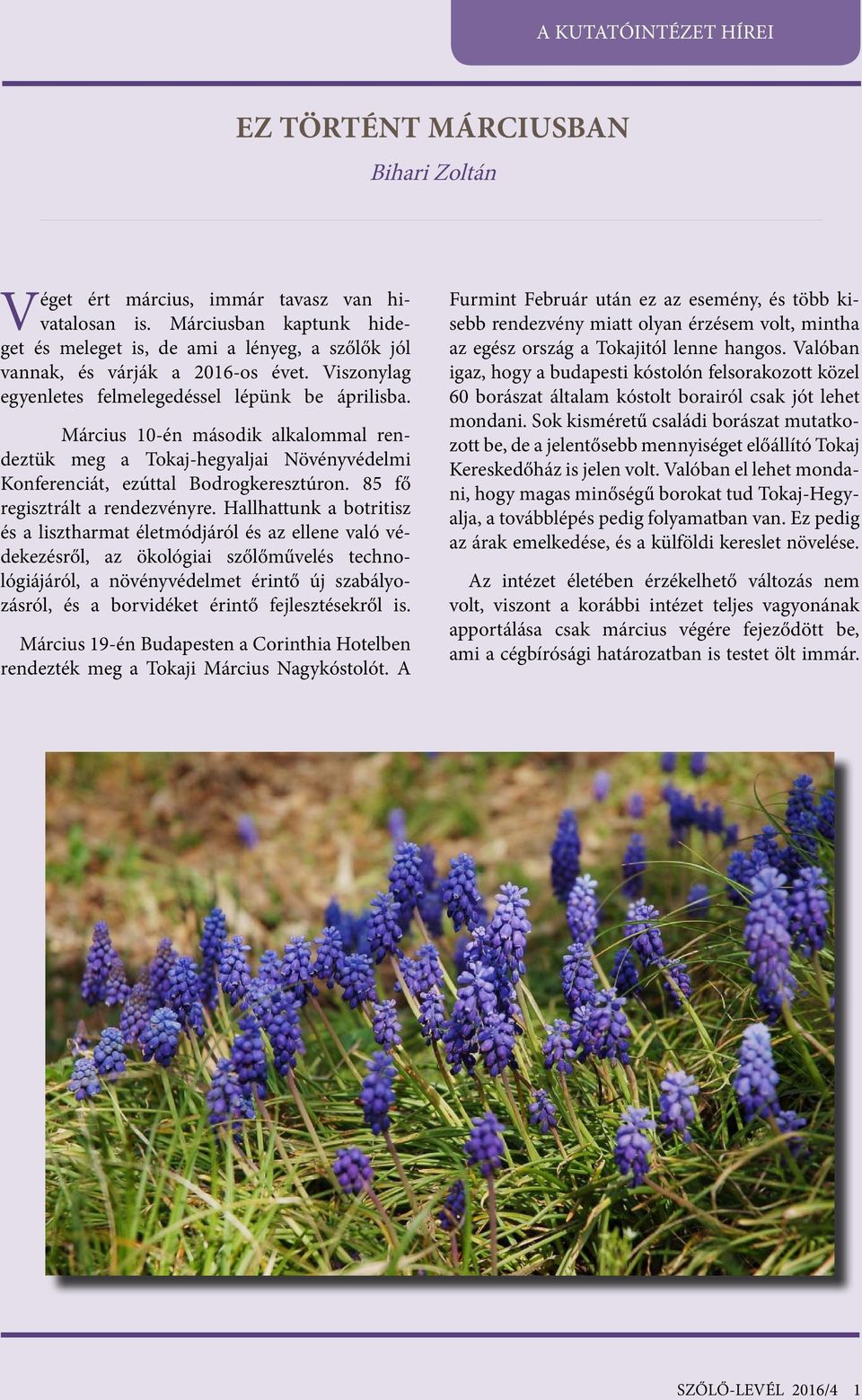 Március 10-én második alkalommal rendeztük meg a Tokaj-hegyaljai Növényvédelmi Konferenciát, ezúttal Bodrogkeresztúron. 85 fő regisztrált a rendezvényre.