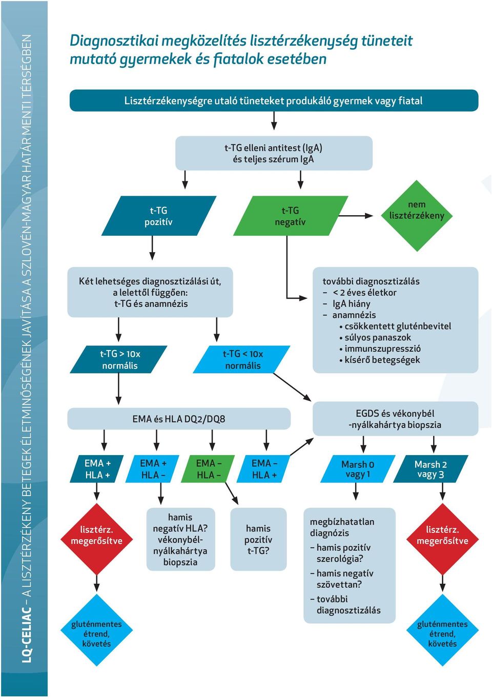 megerősítve gluténmentes étrend, követés t-tg pozitív EMA és HLA DQ2/DQ8 EMA + HLA EMA HLA hamis negatív HLA?