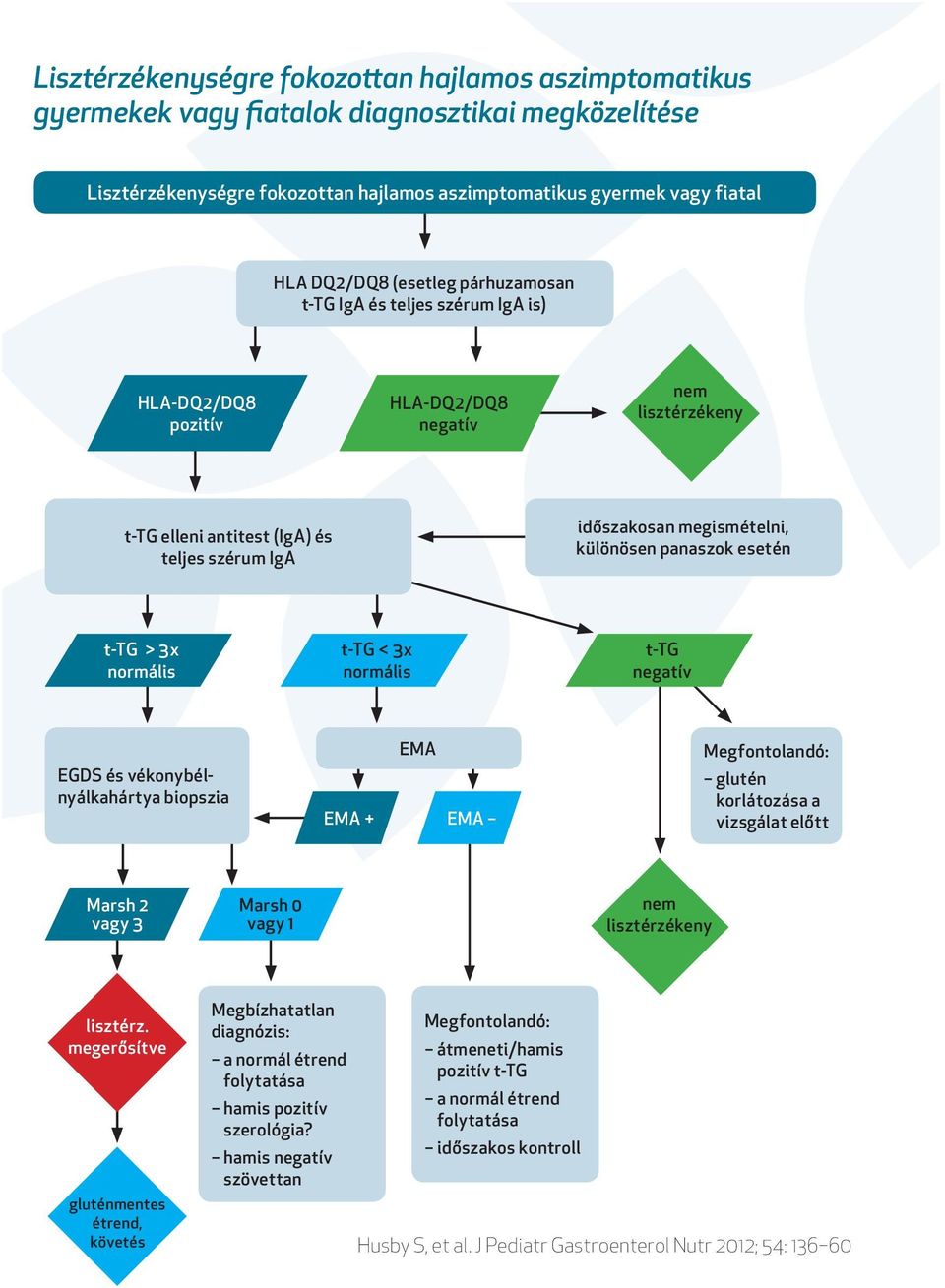 panaszok esetén t-tg > 3x normális t-tg < 3x normális t-tg negatív EGDS és vékonybélnyálkahártya biopszia EMA EMA + EMA Megfontolandó: glutén korlátozása a vizsgálat előtt Marsh 2 vagy 3 Marsh 0 vagy