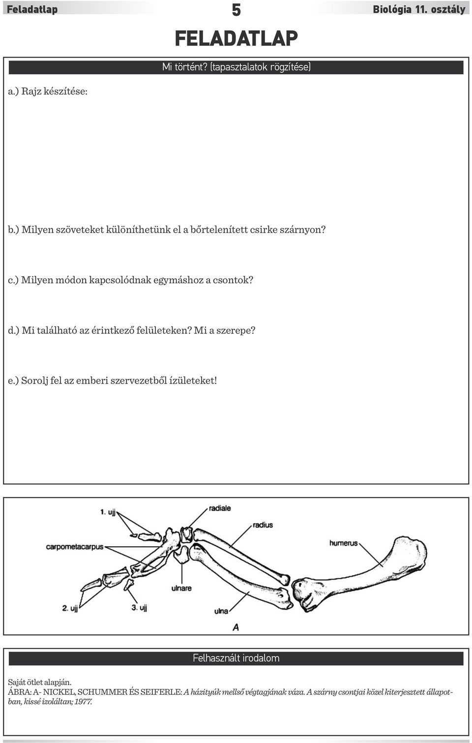 ) Mi található az érintkező felületeken? Mi a szerepe? e.) Sorolj fel az emberi szervezetből ízületeket!