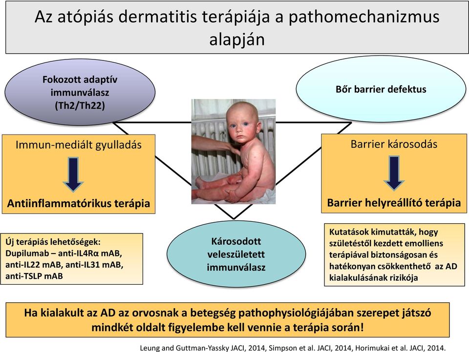 immunválasz Kutatások kimutatták, hogy születéstől kezdett emolliens terápiával biztonságosan és hatékonyan csökkenthető az AD kialakulásának rizikója Ha kialakult az AD az